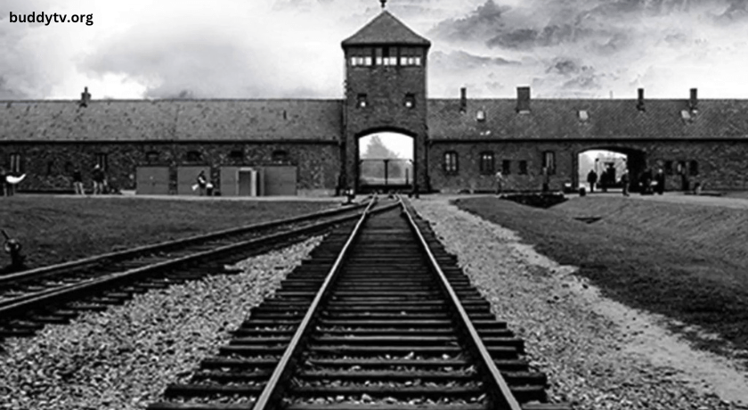 Best Movies About the Holocaust on Netflix